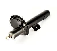Shock absorber Front Axle Top pin AHR041MT Magnum Technology for RENAULT CLIO I