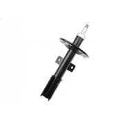 Shock absorber Front Axle Top pin FT11022 FAST for CITROËN PEUGEOT TOYOTA OPEL