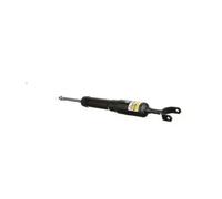 Arnott SK-2779 Shock absorber