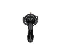 KAVO PARTS SSA-10173 Shock absorber