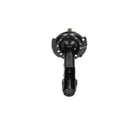 KAVO PARTS SSA-10173 Shock absorber