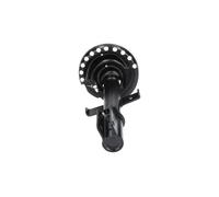 KAVO PARTS SSA-10236 Shock absorber