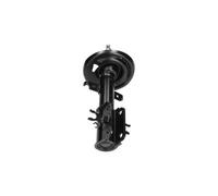 KAVO PARTS SSA-10567 Shock absorber