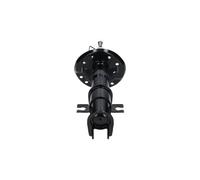 KAVO PARTS SSA-10829 Shock absorber