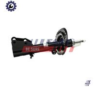 FAST FT11130 Shock absorber