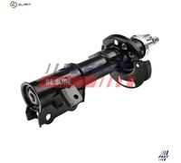 FAST FT11177 Shock absorber