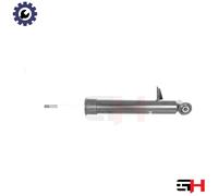 1x Gas Shock Absorber Rear Left for BMW X5 (E70), X6 (E71, E72) 2007->