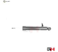 1x Gas Shock Absorber Rear Left for BMW X5 (E70), X6 (E71, E72) 2007->