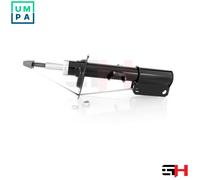 1x Gas Shock Absorber Front Right for BMW X5 2000-2006