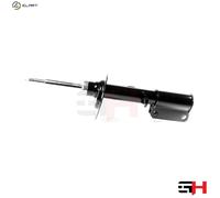 1x Gas Shock Absorber Front Left for BMW X5 2000-2006