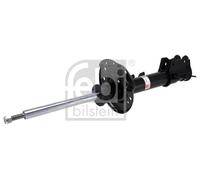 FEBI BILSTEIN 1002493 Shock absorber