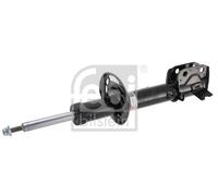 FEBI BILSTEIN 1002812 Shock absorber
