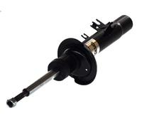 Shock absorber MAGNUM TECHNOLOGY AGC032MT for CITROEN C2 (JM_) 1.1 2003-2012