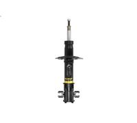 Shock absorber MONROE 16417 FIAT PUNTO (188_) 1.9 2001-2012