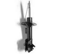 Shock Absorber MONROE 16796 for VOLVO