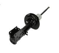 MONROE G16356 Shock absorber