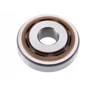 FAG 713 0396 20 Top strut mount bearing