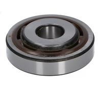 ROLLING BEARING SUSPENSION STRUT SUPPORT MOUNT 31428/1 FOR RENAULT TRAFIC/II