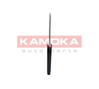 REAR AXLE SHOCK ABSORBER 2000920