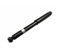 FAST FT11075 Shock absorber