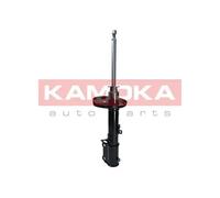 REAR AXLE RIGHT SHOCK ABSORBER 2000303