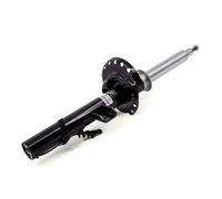 Shock absorber Rear Axle Right Top pin MR-5090 Arnott for LAND ROVER
