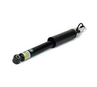 Arnott SK-3357 Shock absorber