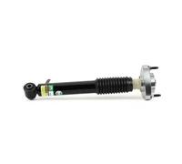 Shock absorber Rear Axle Right Top yoke SK-3606 Arnott for BMW X5 X6