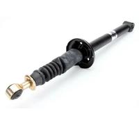 Magnum Technology AHG058MT Shock Absorber for FORD