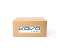 KAVO PARTS SSA-10966 Shock absorber