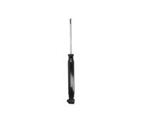 Fits MAGNUM TECHNOLOGY AGW074MT Shock absorber DE stock