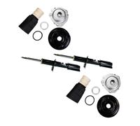 Shock absorber repair kit front 15 inch GAS Magneti Marelli