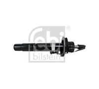 FEBI BILSTEIN 1002431 Shock absorber