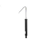 SHOCK ABSORBER 319 171 SACHS