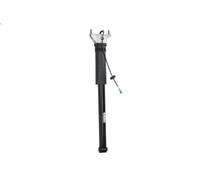 Shock absorber SACHS 319 190
