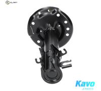 KAVO PARTS SSA-10003 Shock absorber