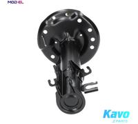KAVO PARTS SSA-10003 Shock absorber