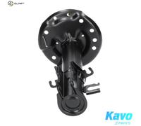 KAVO PARTS SSA-10003 Shock absorber