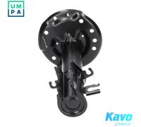 KAVO PARTS SSA-10003 Shock absorber