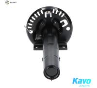 KAVO PARTS SSA-10011 Shock absorber