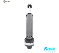 New Shock Absorber for AUDI:A4 B6,A4 / S4 B6,A4 B6 Avant,A4 / S4 B6 Avant