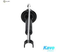 Kavo Parts Shock Absorber SSA-10015 Front axle top pin for Audi A6 C6