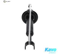 Kavo Parts Shock Absorber SSA-10015 Front axle top pin for Audi A6 C6