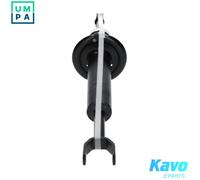 Kavo Parts Shock Absorber SSA-10015 Front axle top pin for Audi A6 C6