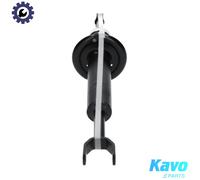 SHOCK ABSORBER SSA-10015 FOR AUDI A6/S6 BPJ/BYK 2.0L CAHB/CAHA/BVG/CAGB 2.0L A6