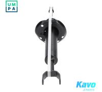 KAVO PARTS SSA-10016 Shock absorber