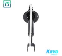 KAVO PARTS SSA-10018 Shock absorber