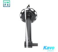 KAVO PARTS SSA-10021 Shock absorber