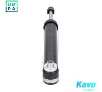 KAVO PARTS SSA-10026 Shock absorber