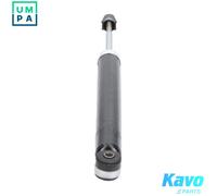 KAVO PARTS SSA-1003 Shock absorber